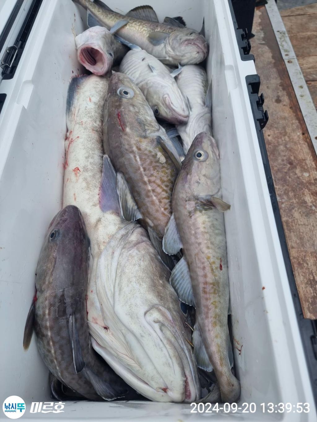 F2508669W4.jpg