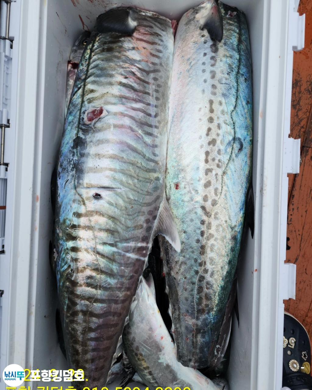 F250933097.jpg