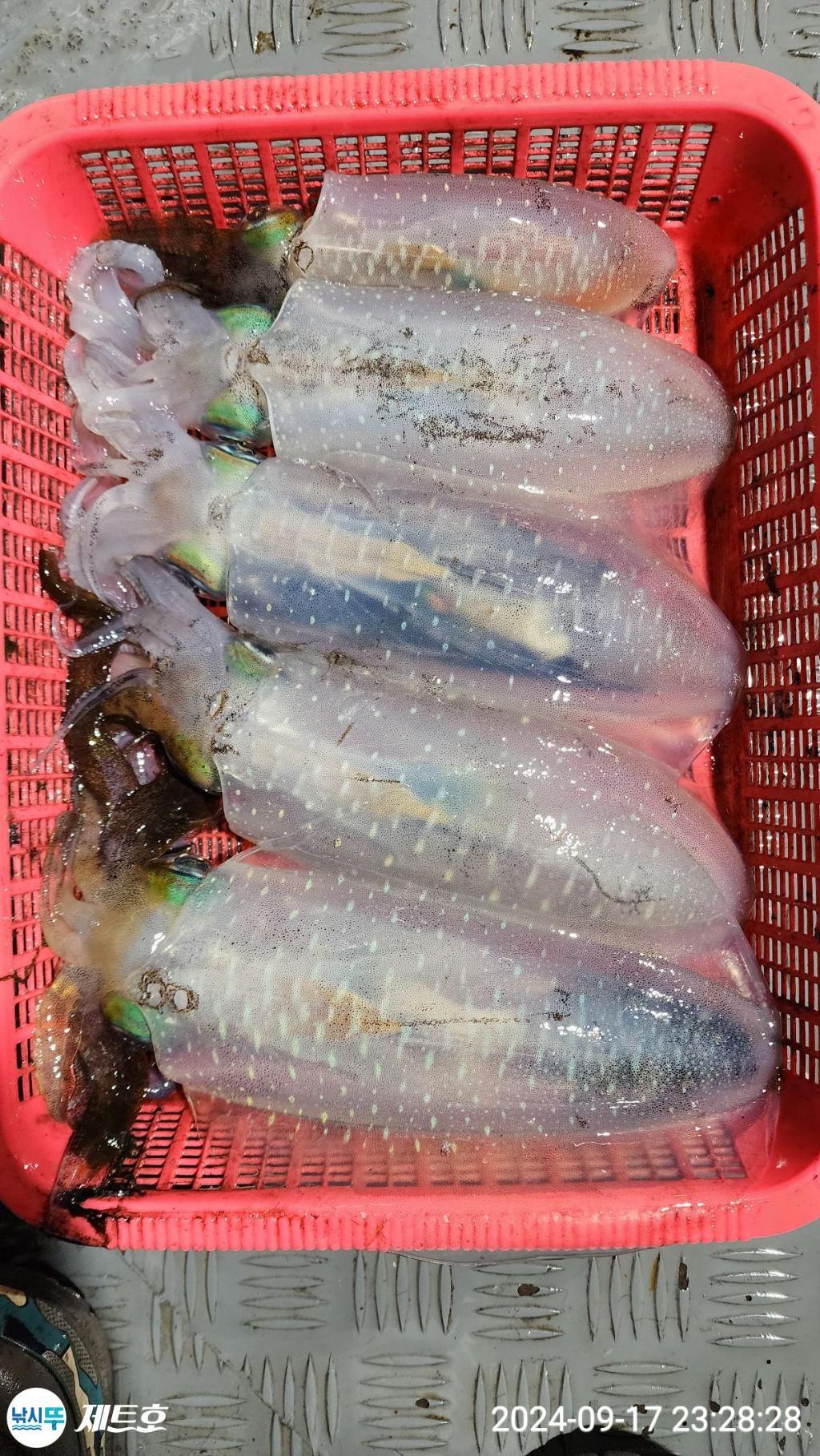 F2510364M0.jpg