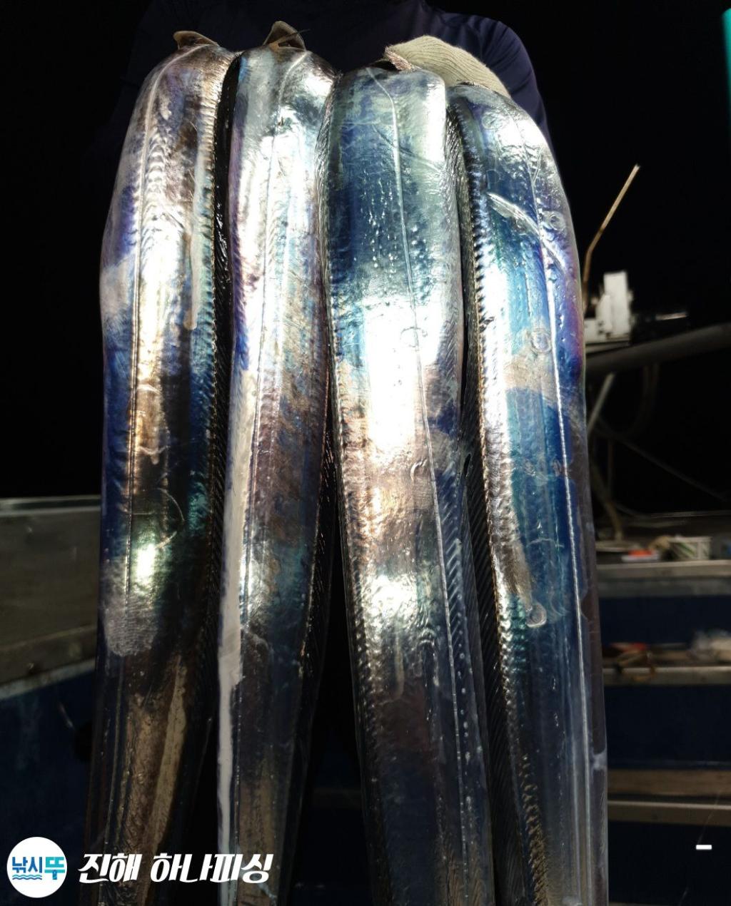 F2511525WS.jpg