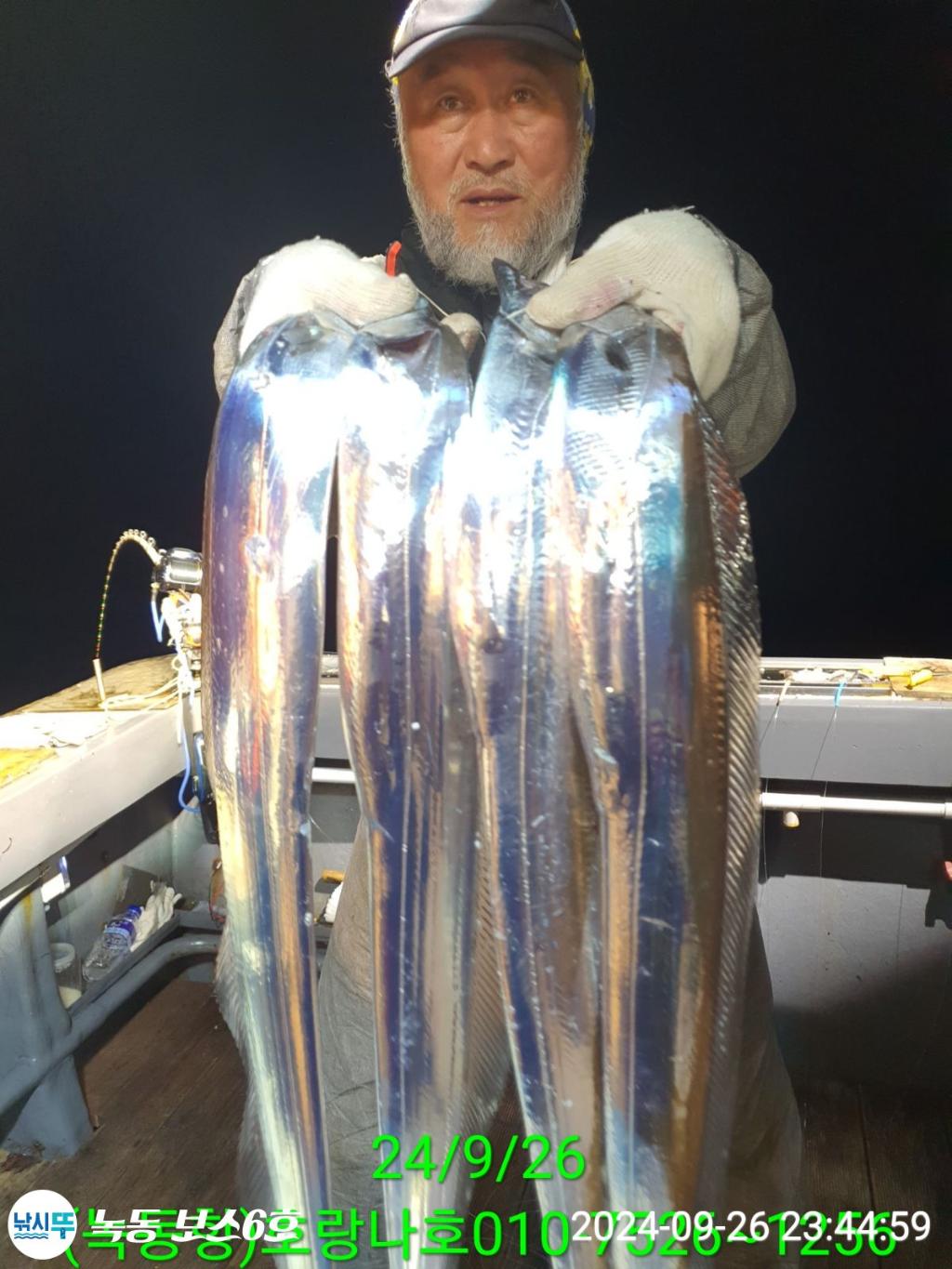 낚시뚜,갈치,녹동항,호랑나비호,낚시뚜3