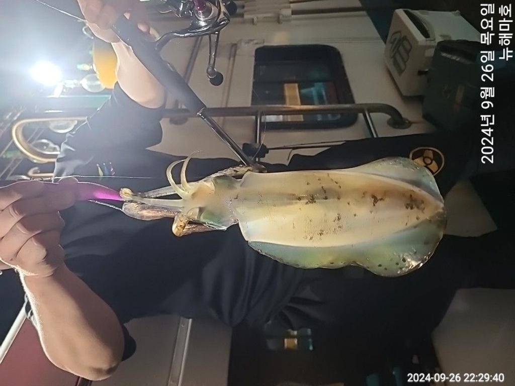 F2514069I6.jpg