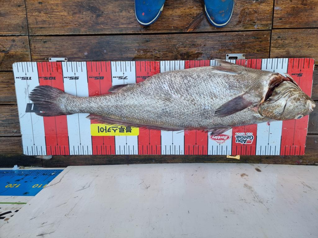 F251662086.jpg