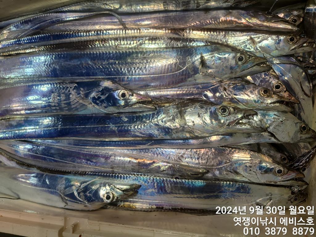 F2517202L5.jpg