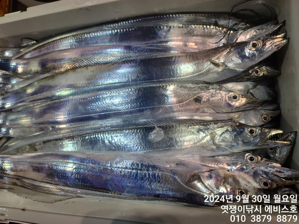 F2517205BZ.jpg