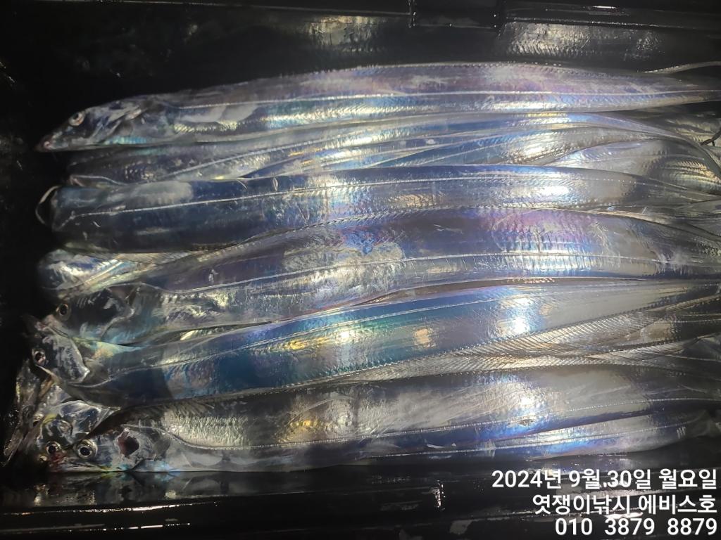 F2517208N9.jpg