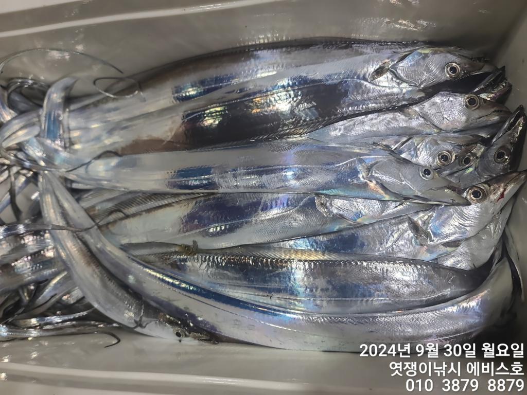 F2517209YT.jpg