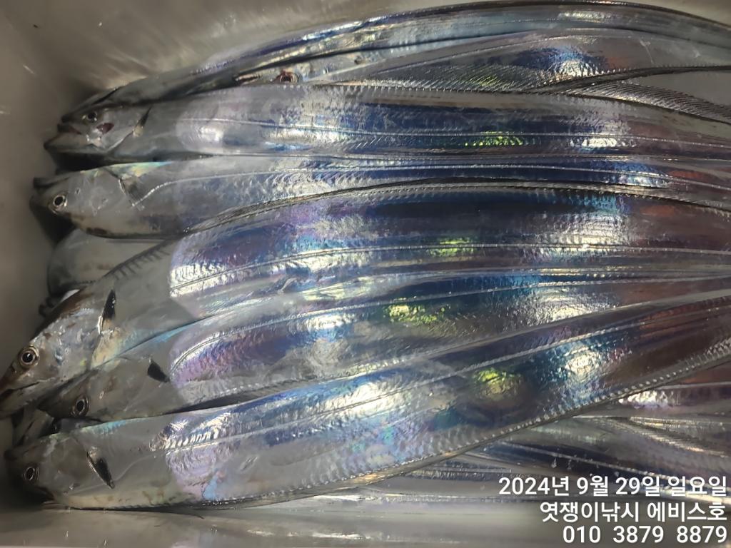 F2517521LQ.jpg