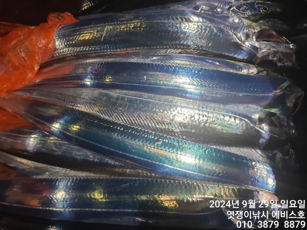F2517522LQ.jpg