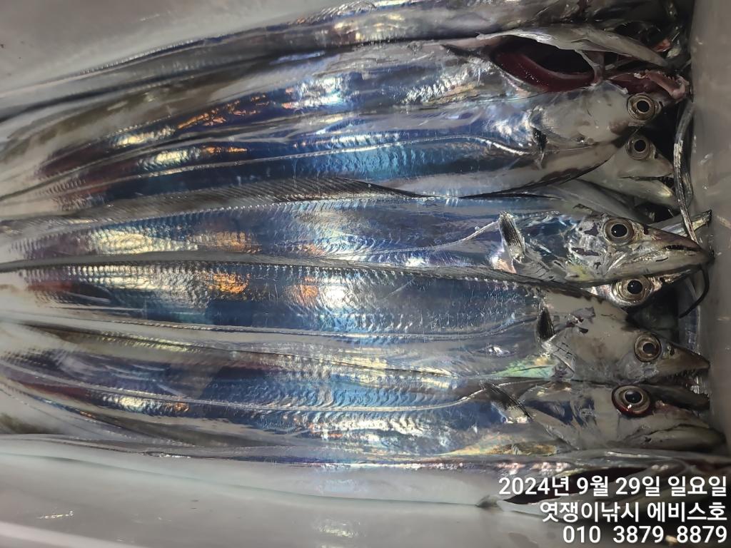 F2517525NU.jpg