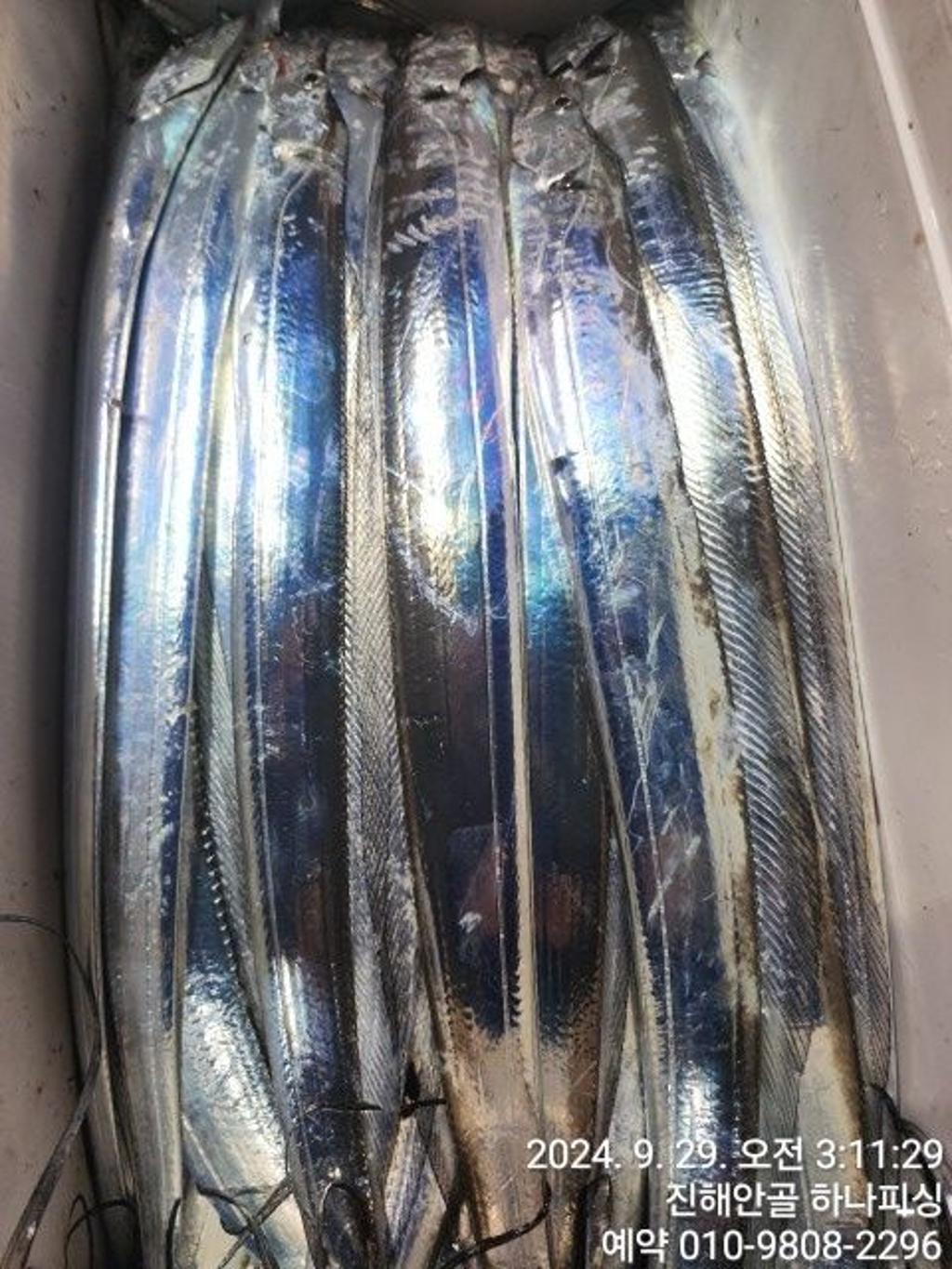 F2518461QT.jpg