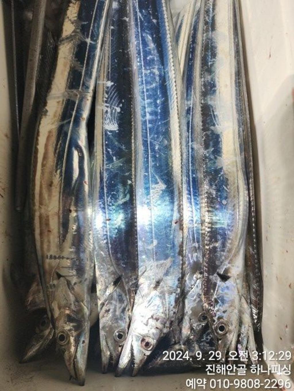 F2518464DO.jpg