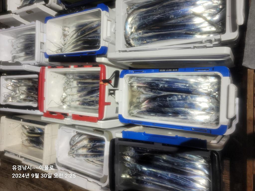 F2519072D6.jpg