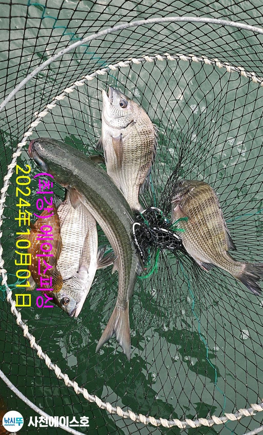 F2520983ZB.jpg