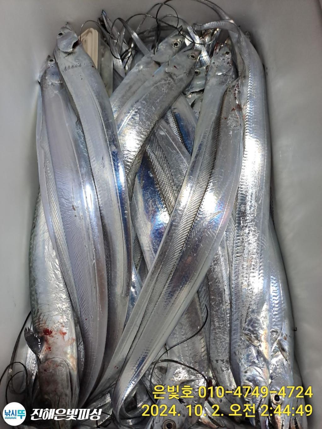 F2521729OZ.jpg