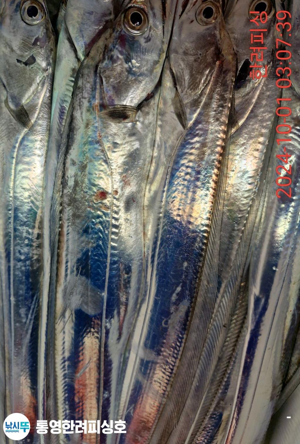 F2521922AY.jpg