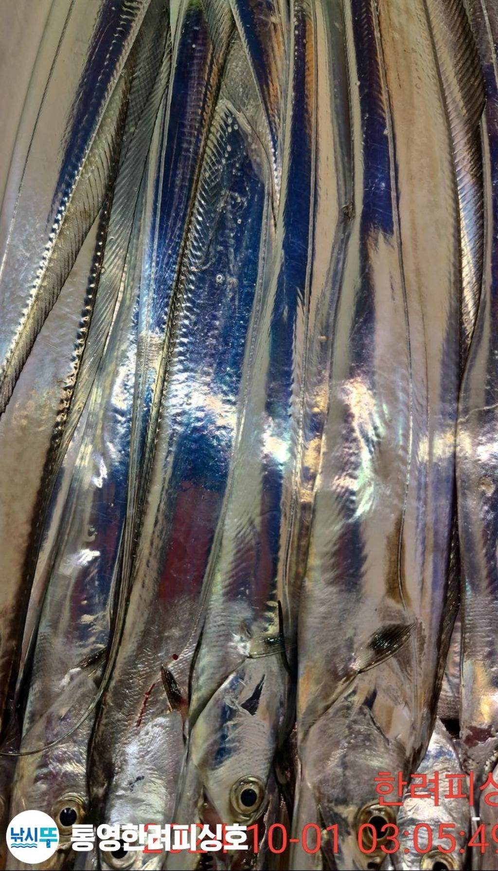 F2521924J8.jpg