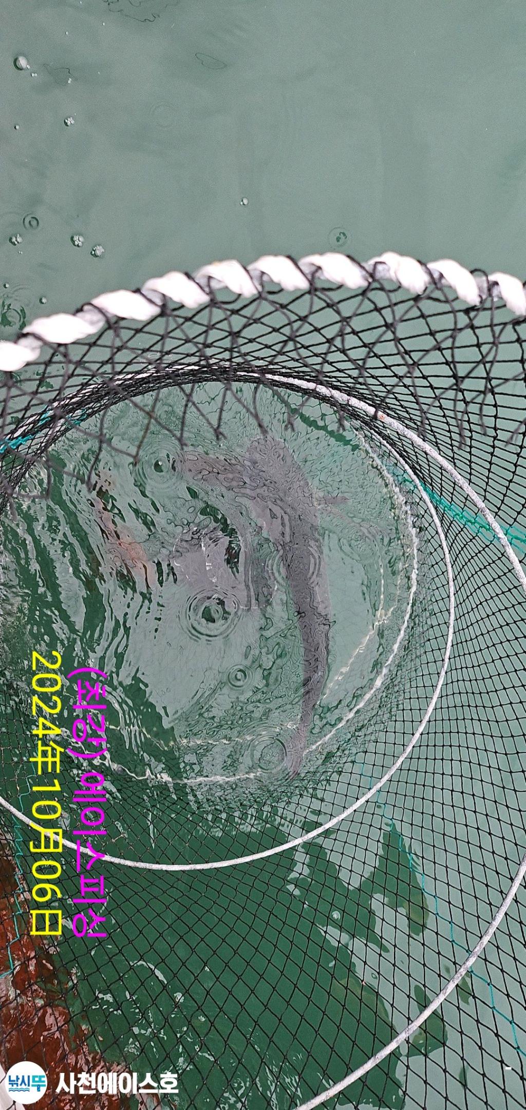 F2525599E9.jpg