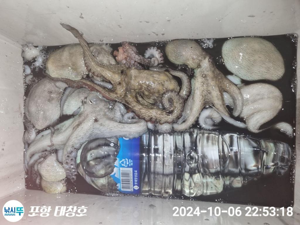 F2526247KA.jpg