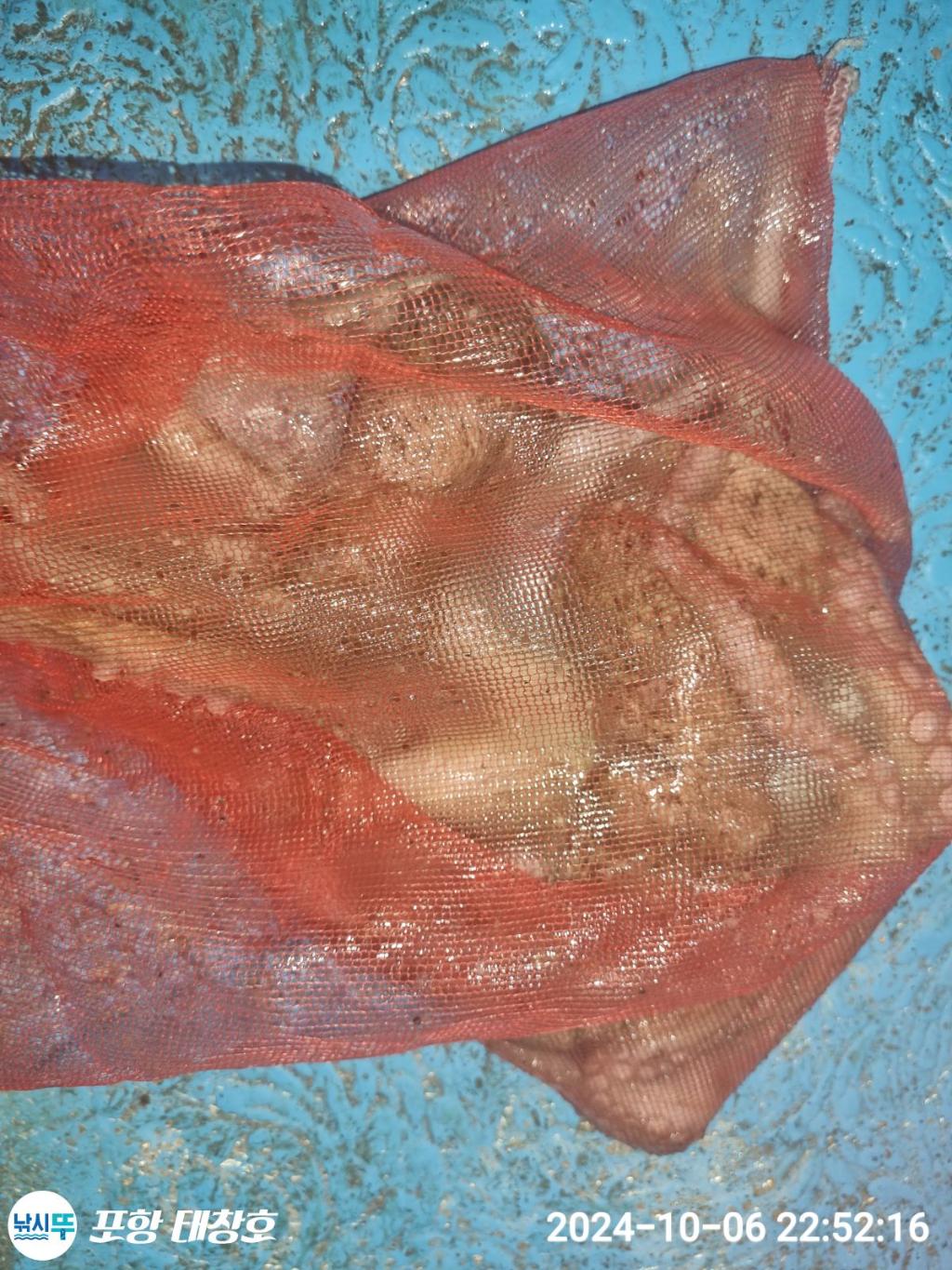 F2526250T1.jpg