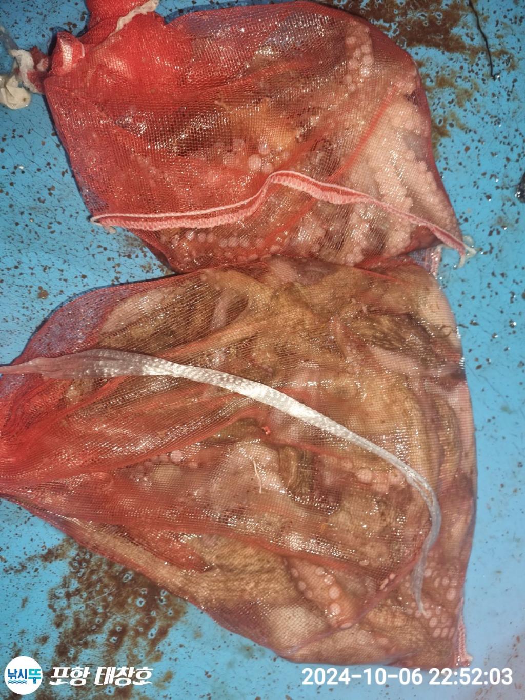 F2526251WX.jpg