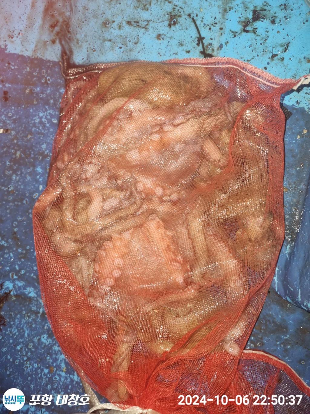 F2526254C3.jpg