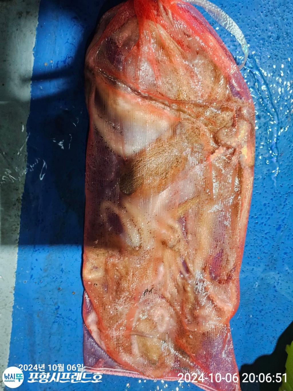 F2526568RQ.jpg