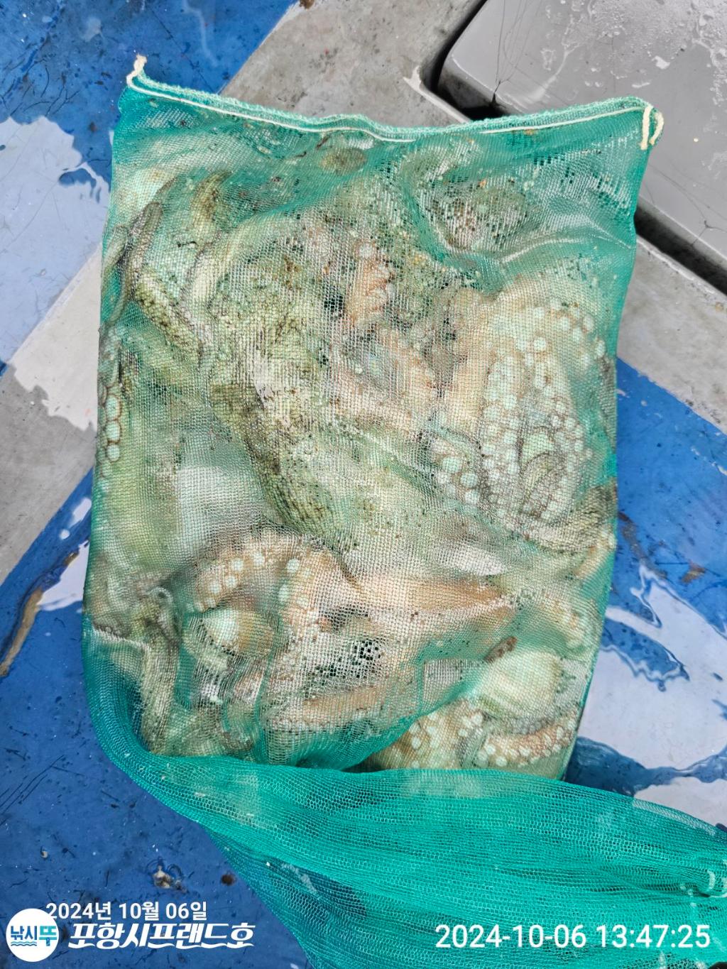 F2526574PU.jpg
