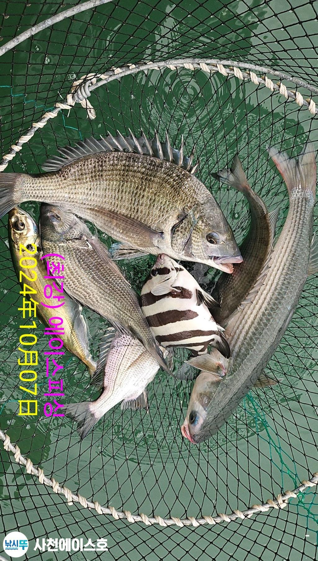 F25269141U.jpg