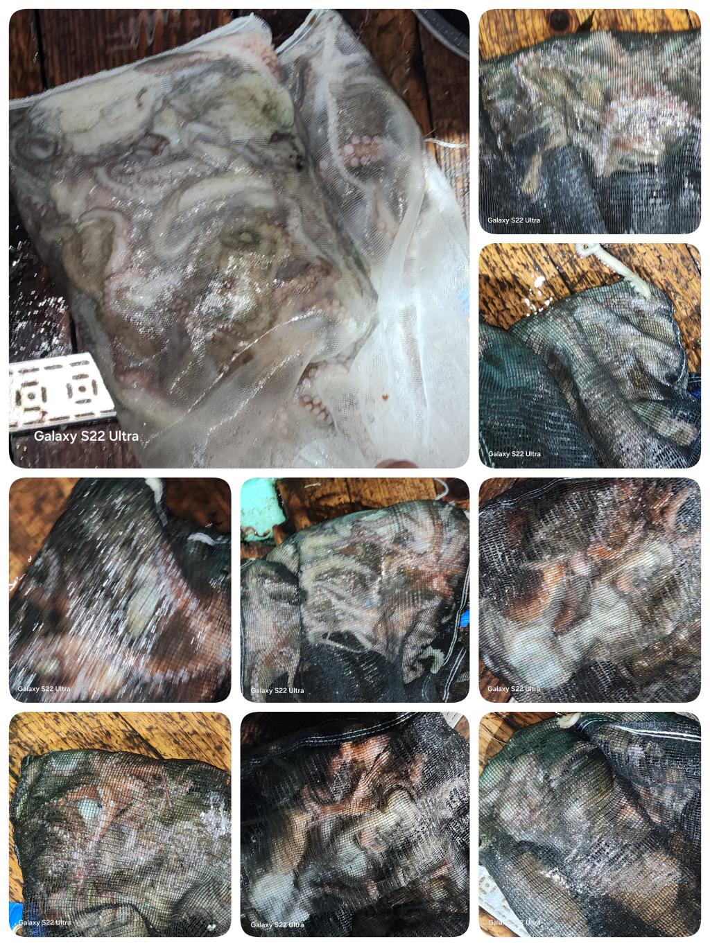 F2528694YU.jpg