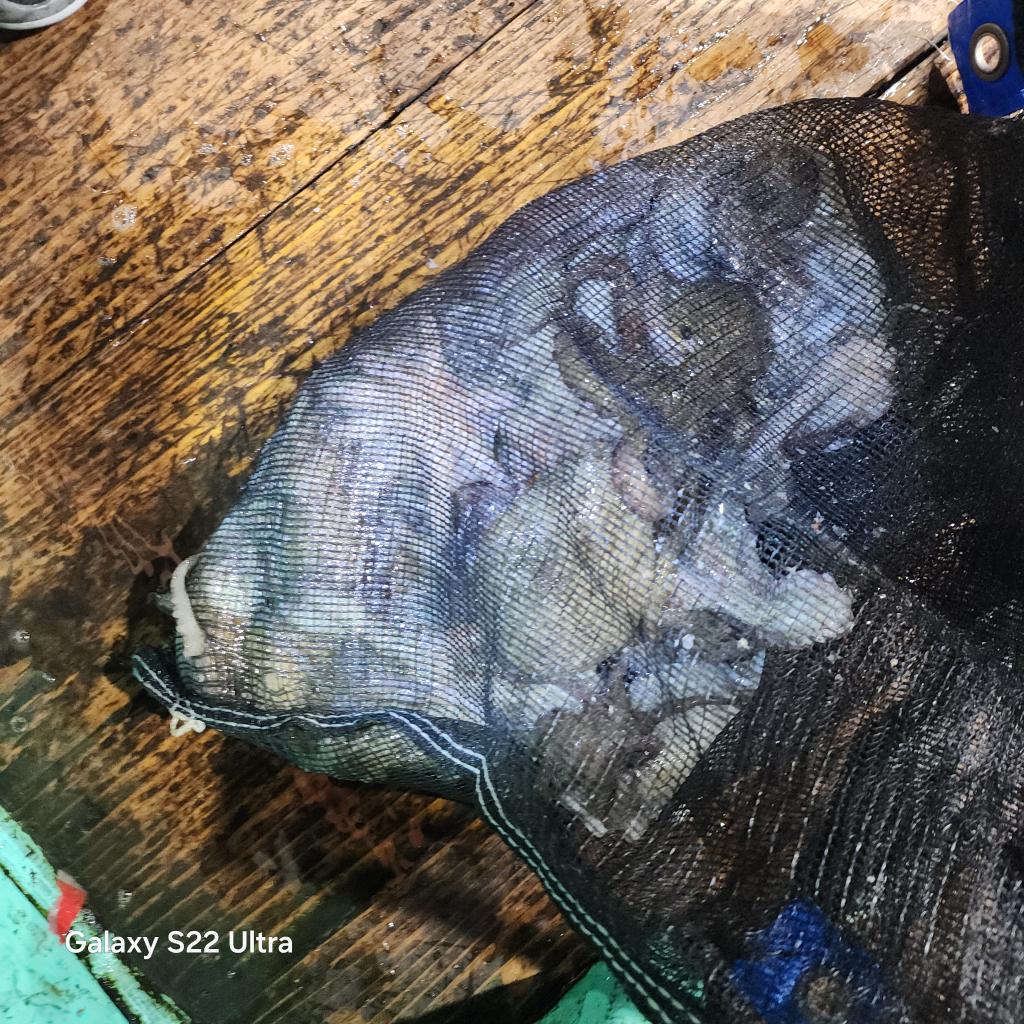 F25286984D.jpg
