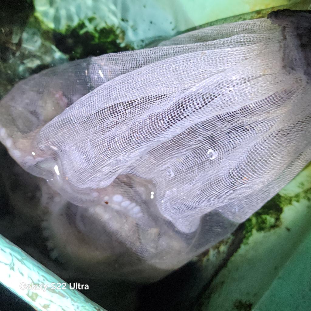 F2528703Y1.jpg