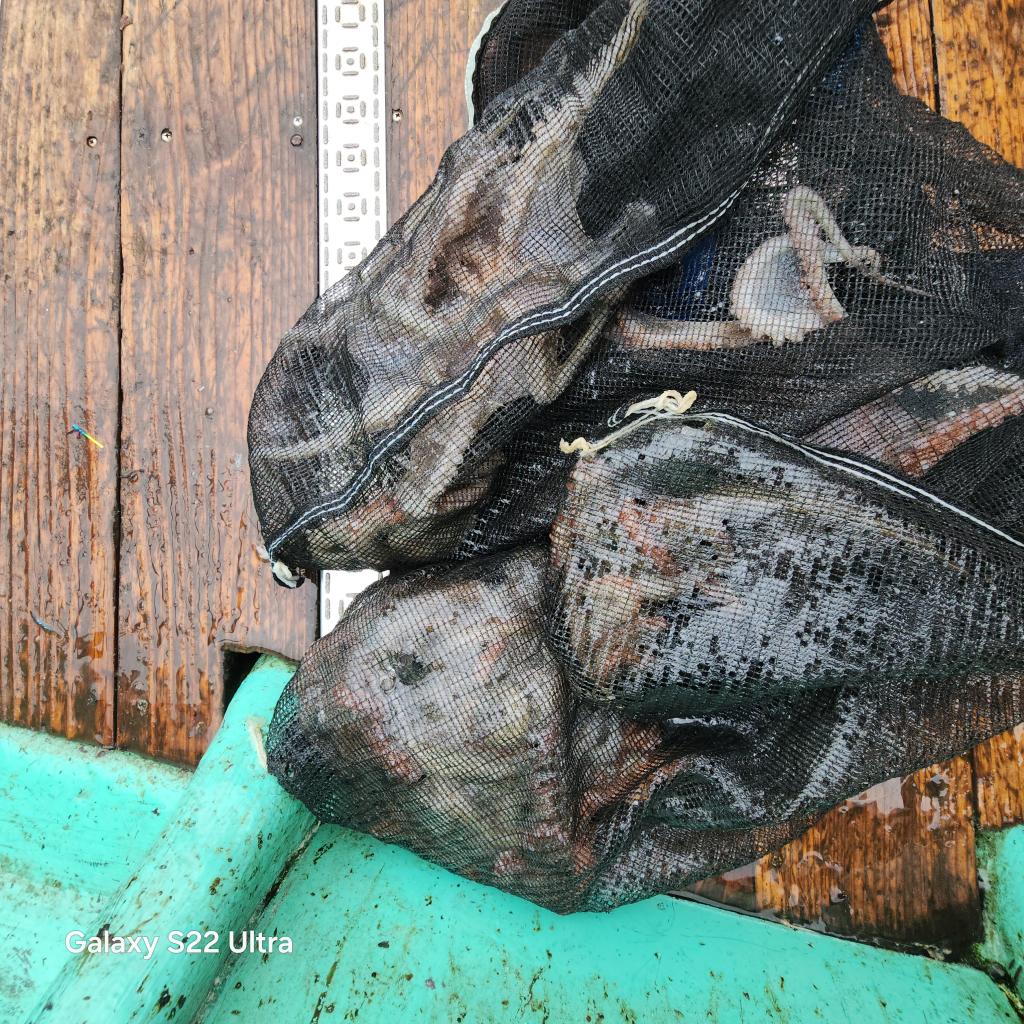 F2528714OW.jpg