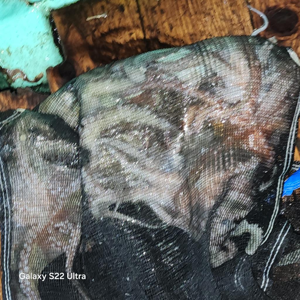 F25287199P.jpg