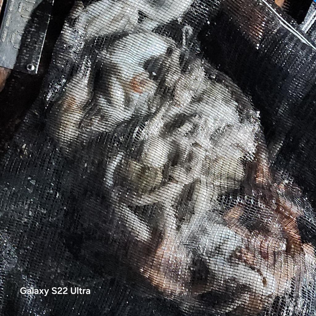 F25287259A.jpg