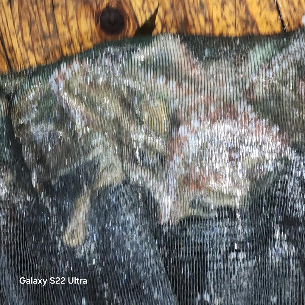 F2529123N1.jpg