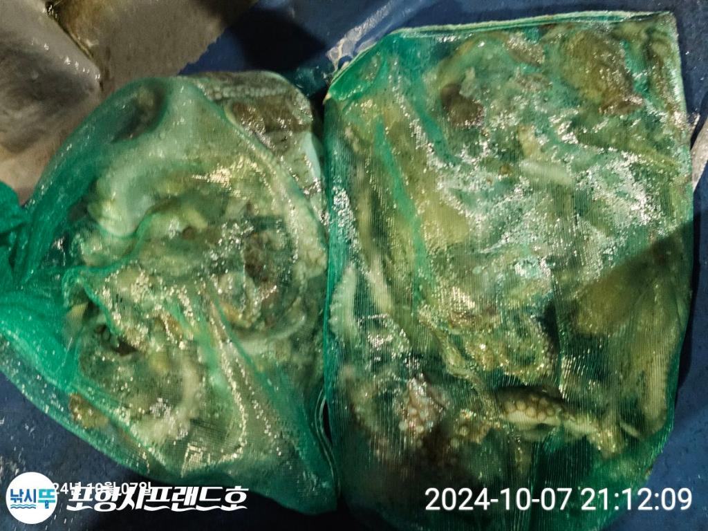 F25291493A.jpg