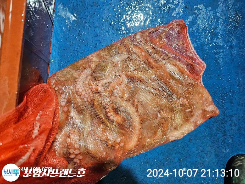 F2529150QZ.jpg