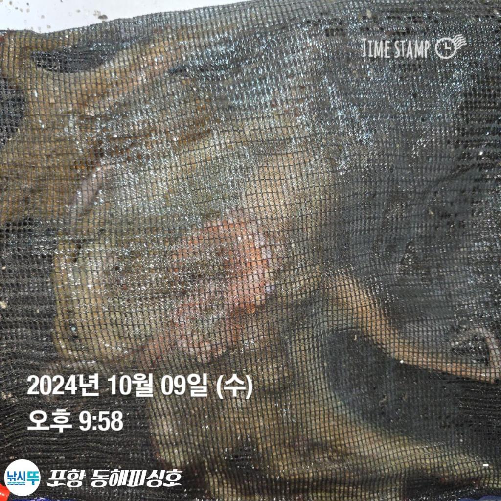 F2529748Y9.jpg