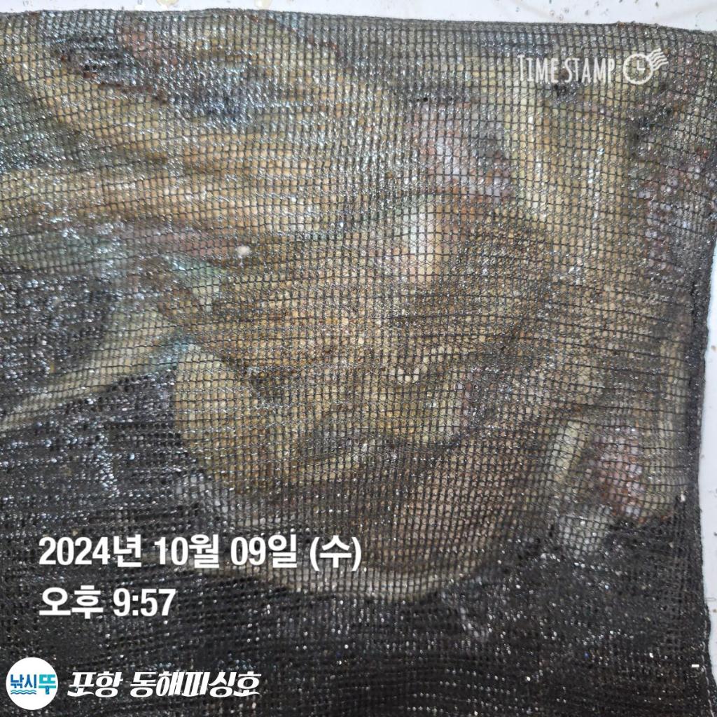 F25297491L.jpg