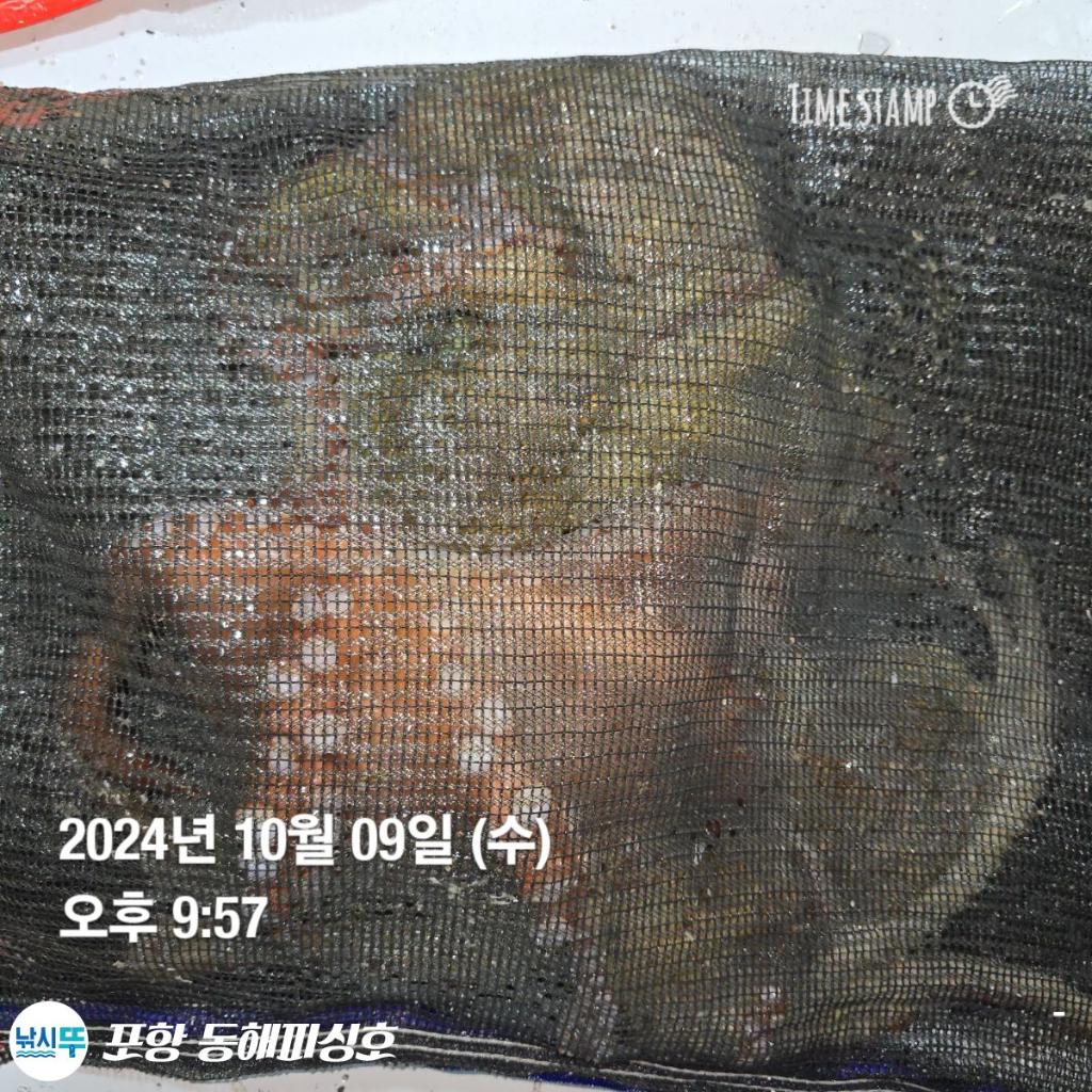 F252975026.jpg