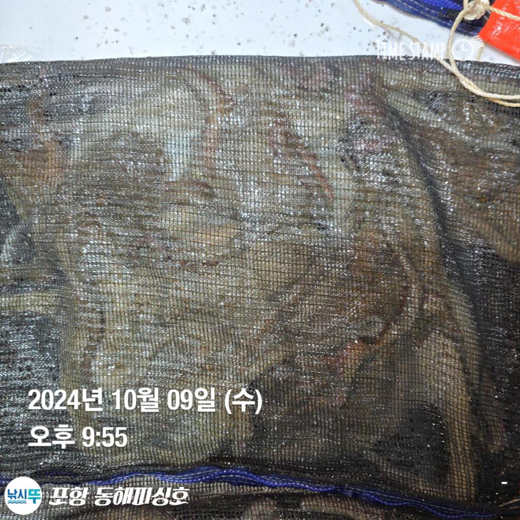 F25297530O.jpg