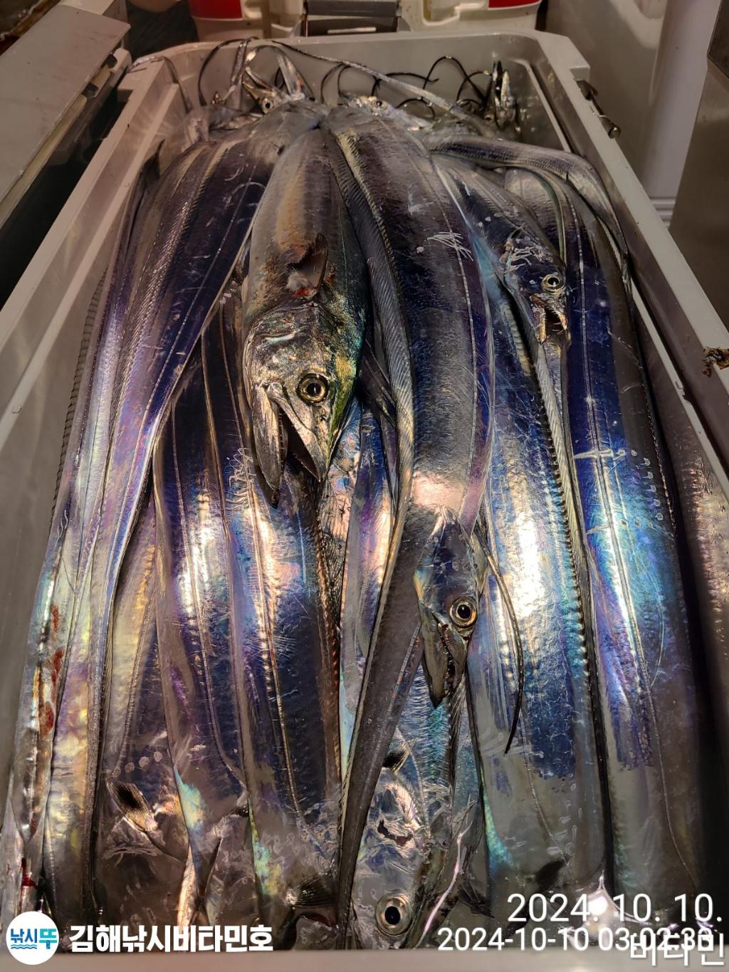 F2530171P7.jpg