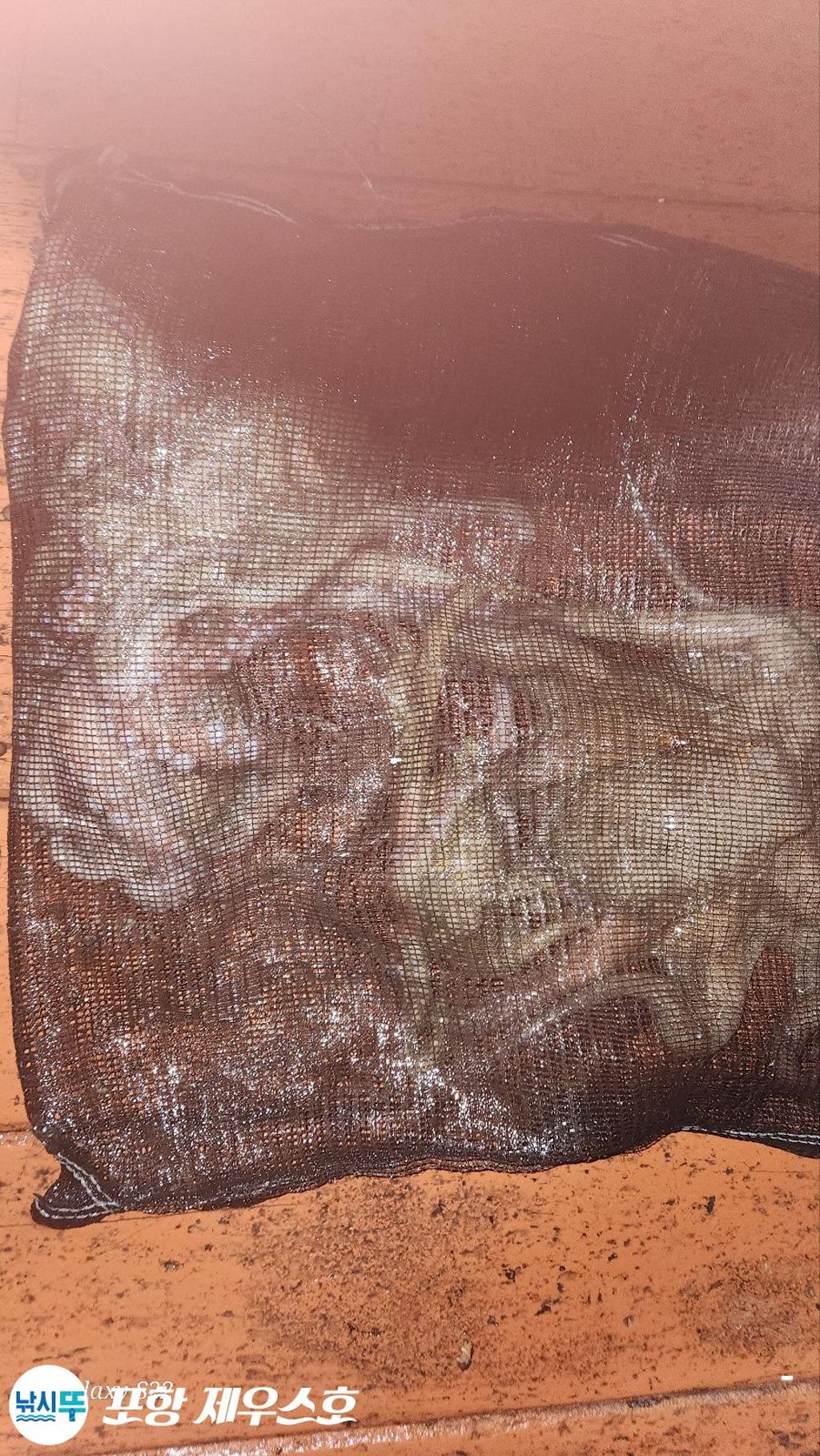 F253058281.jpg