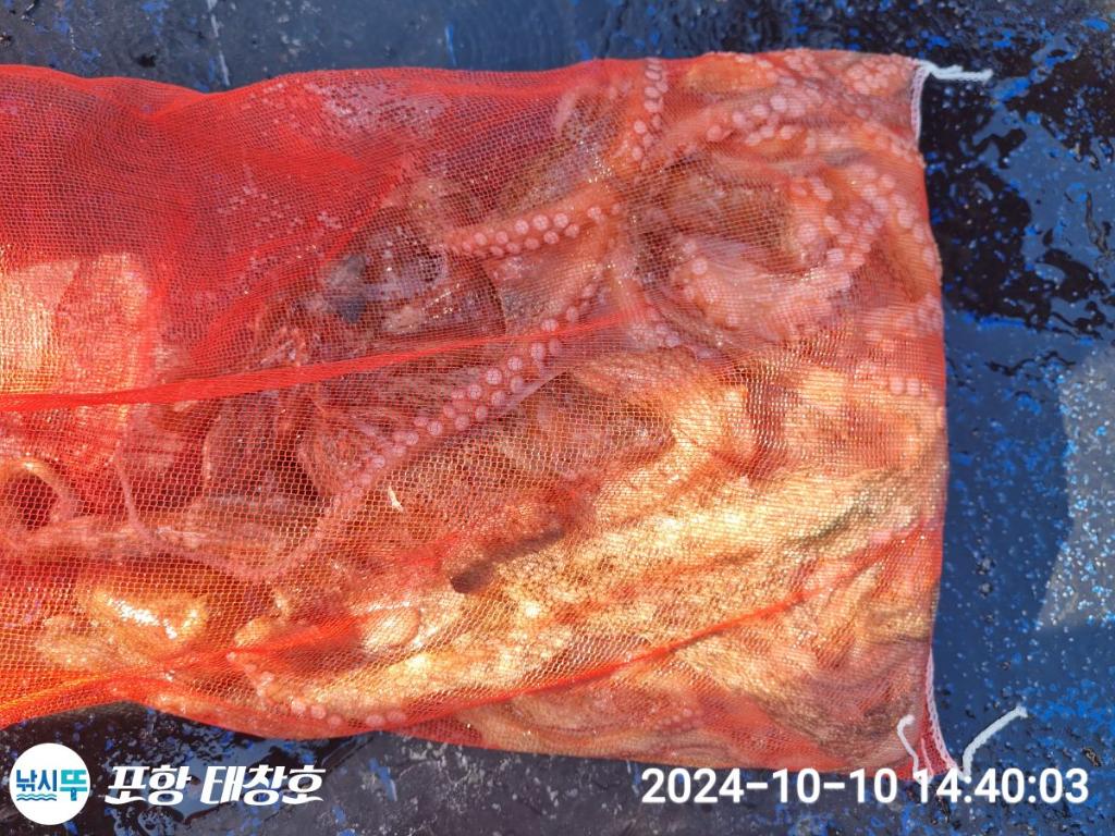 F253089056.jpg