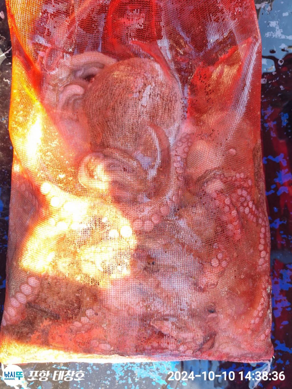 F25308927T.jpg