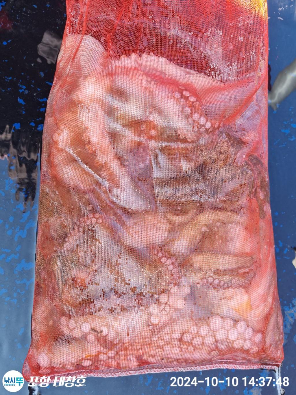 F2530894N6.jpg