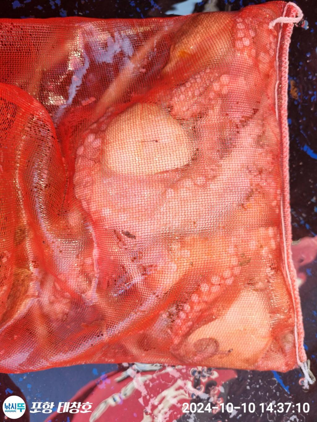 F25308969E.jpg