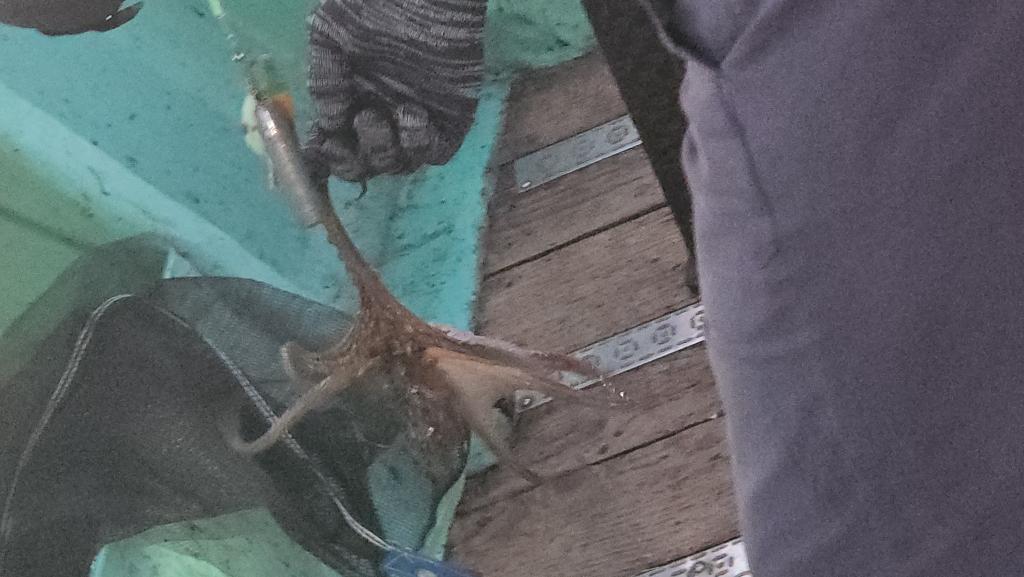 F253323568.jpg