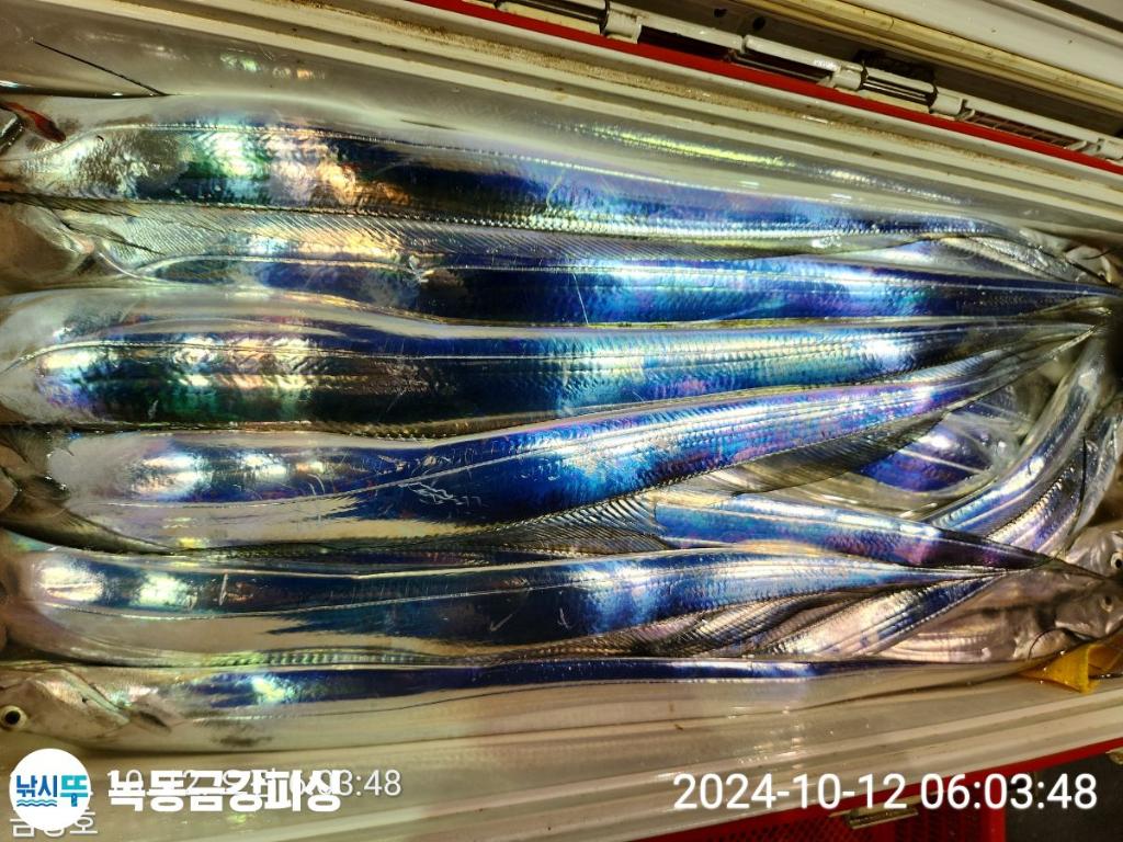 F2534224GX.jpg